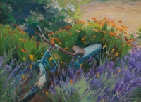 Paint The Lavender Fields of Oregon